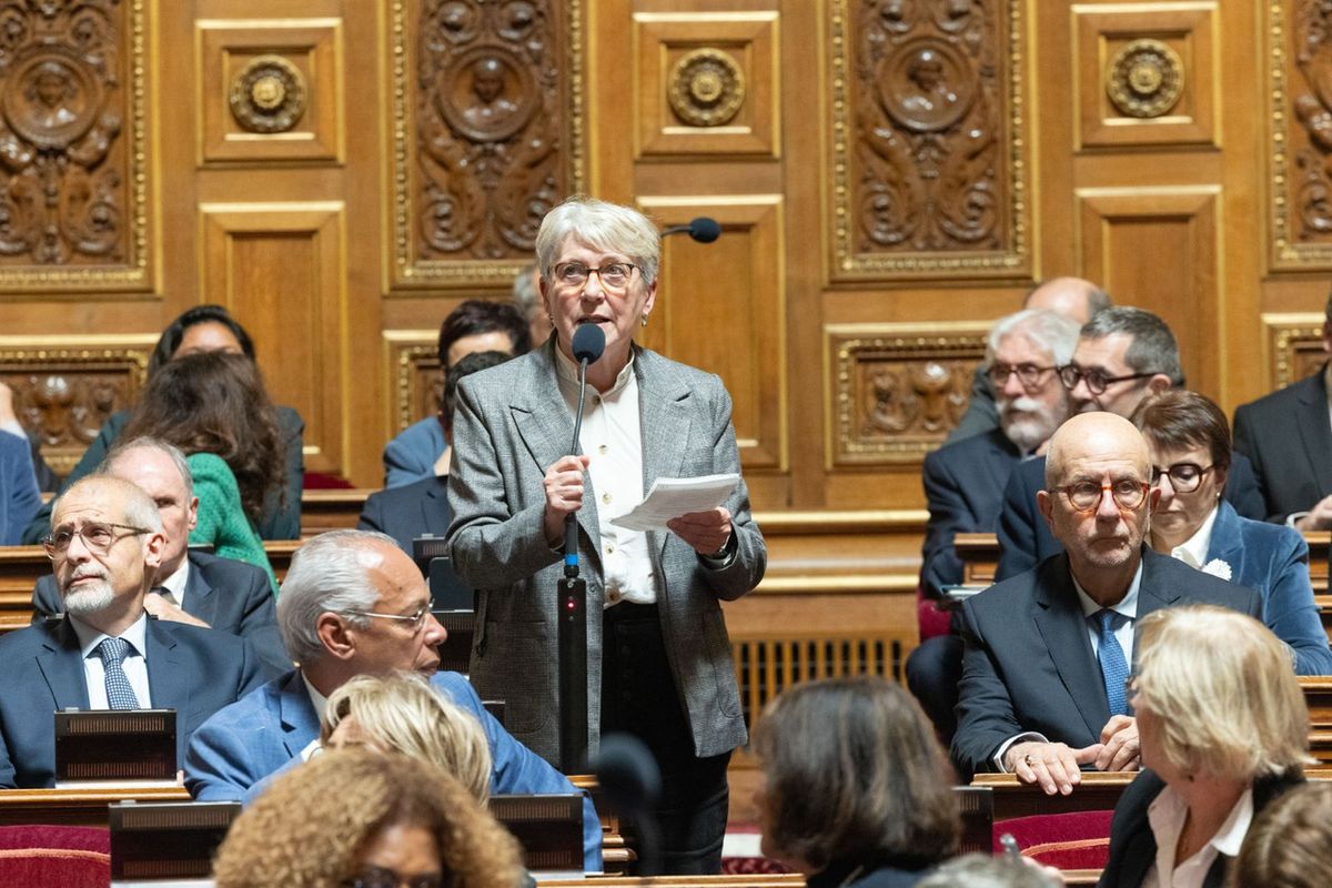 Une séance dans l'hémicycle du Sénat avec elle