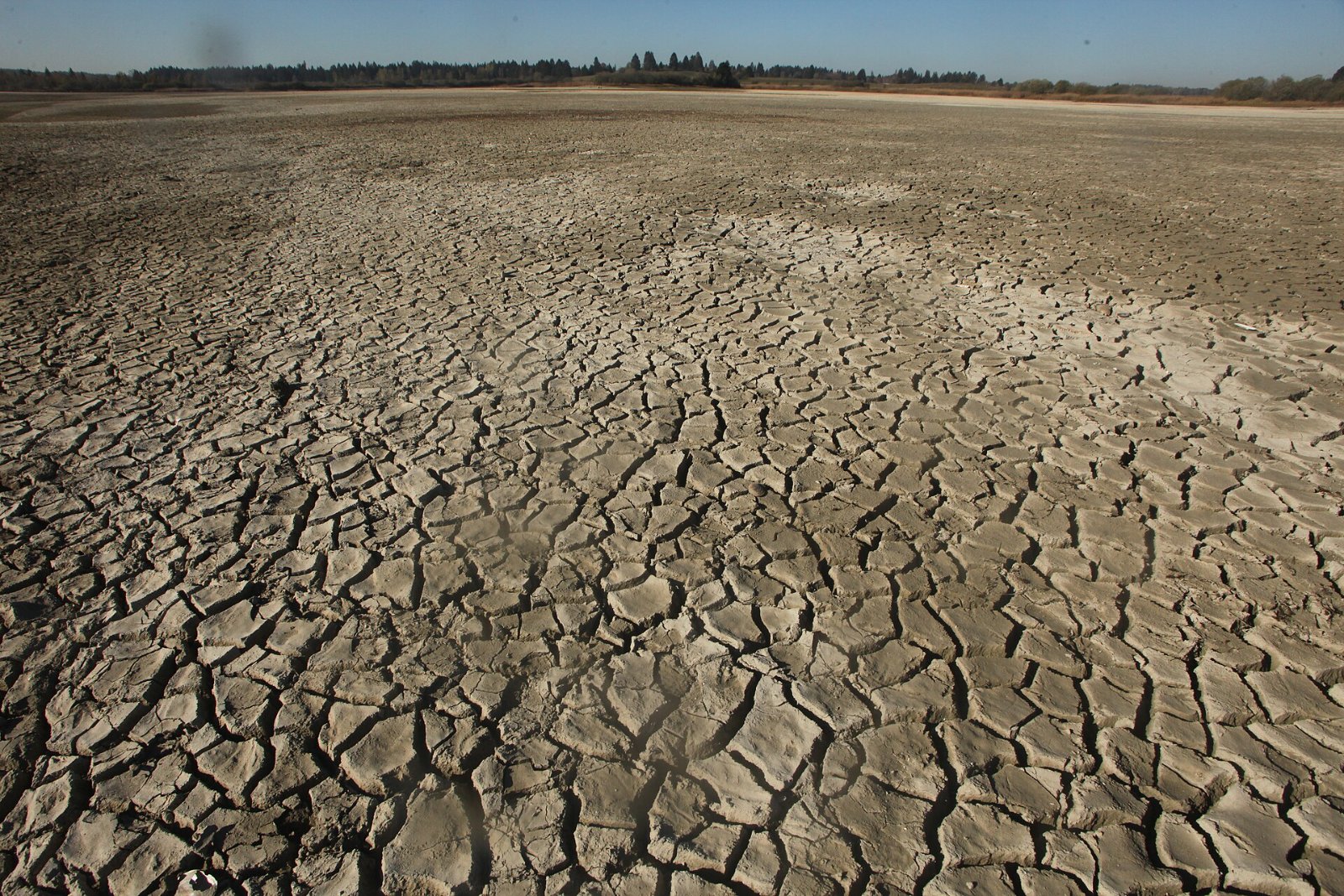Sol craquelé d'un lac asséché pendant une sécheresse